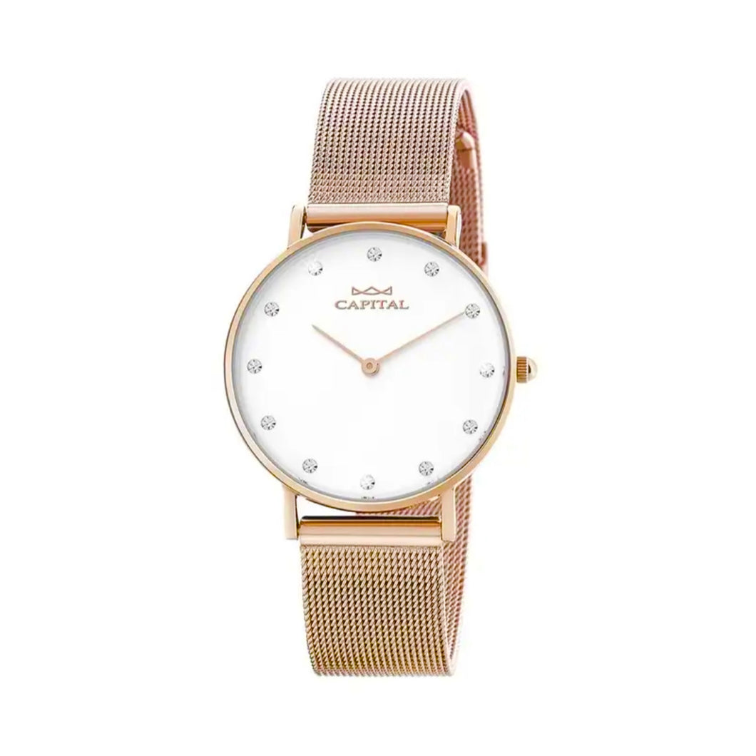 OROLOGIO AX169-2*ZI