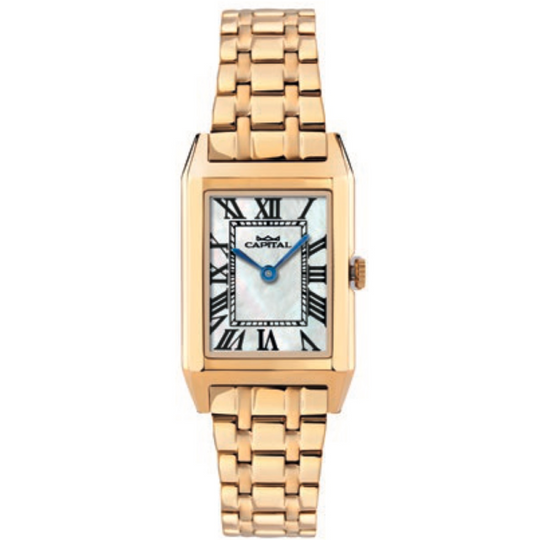 OROLOGIO CAPITAL AX8051-02*UI