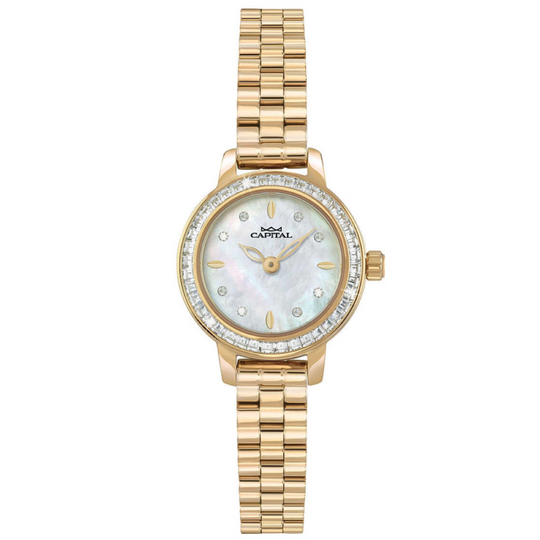 OROLOGIO CAPITAL AX8109*UI