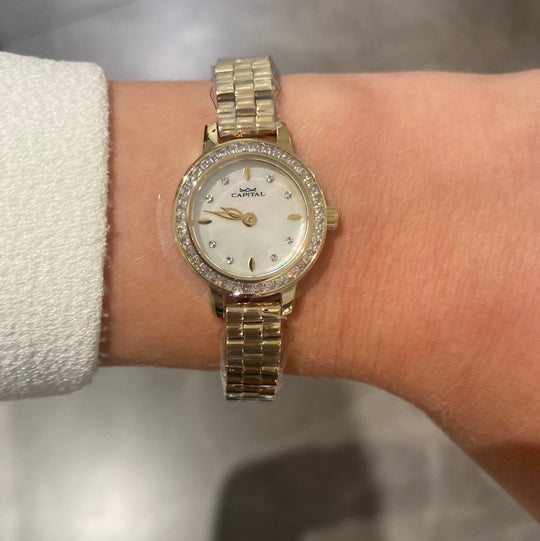 OROLOGIO CAPITAL AX8109*UI