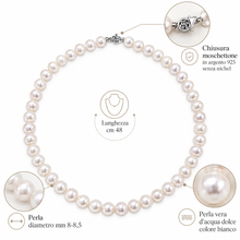 Carica l'immagine nel visualizzatore di Gallery, COLLANA GIRO DI PERLE 8-8,5
