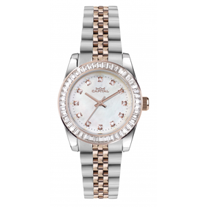 OROLOGIO CAPITAL AX8165-01